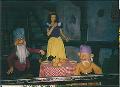 Disney Landba